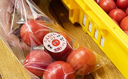 小売店・飲食店へ。使いやすい規格で、安定した味をお届けします。